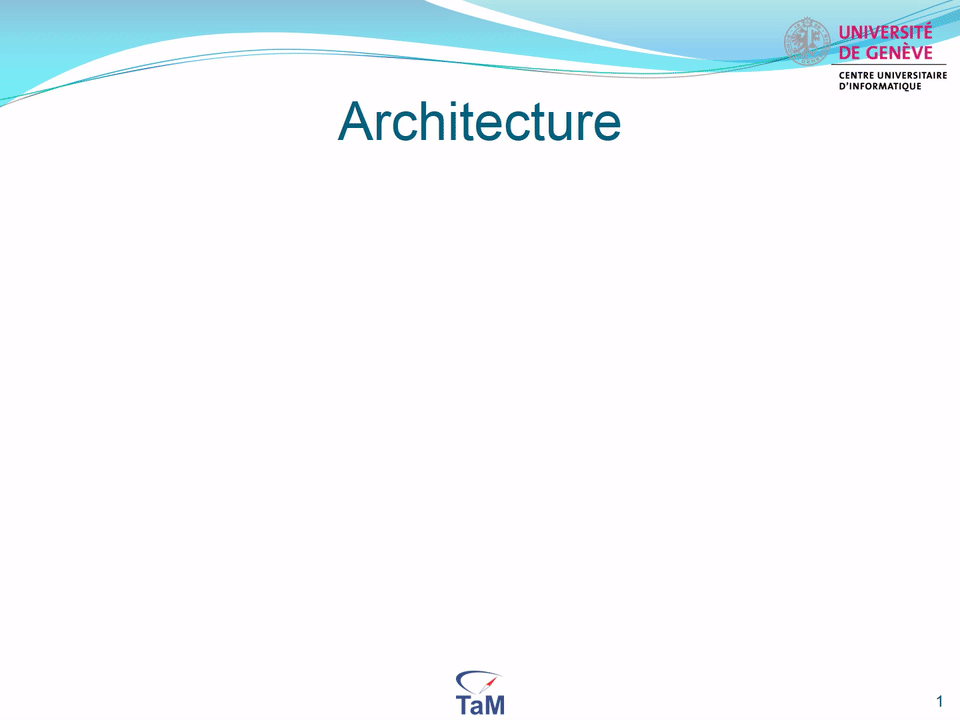 Animated architecture overview of the IDDASS system (University of Geneva / TaM)